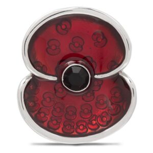 Take on the 11/11 challenge to support the Poppy Appea