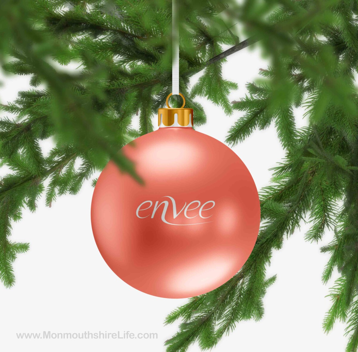 Christmas Crackers 16 Monmouthshire Life