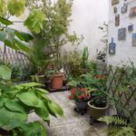 inbound1272938692045283964 150x150