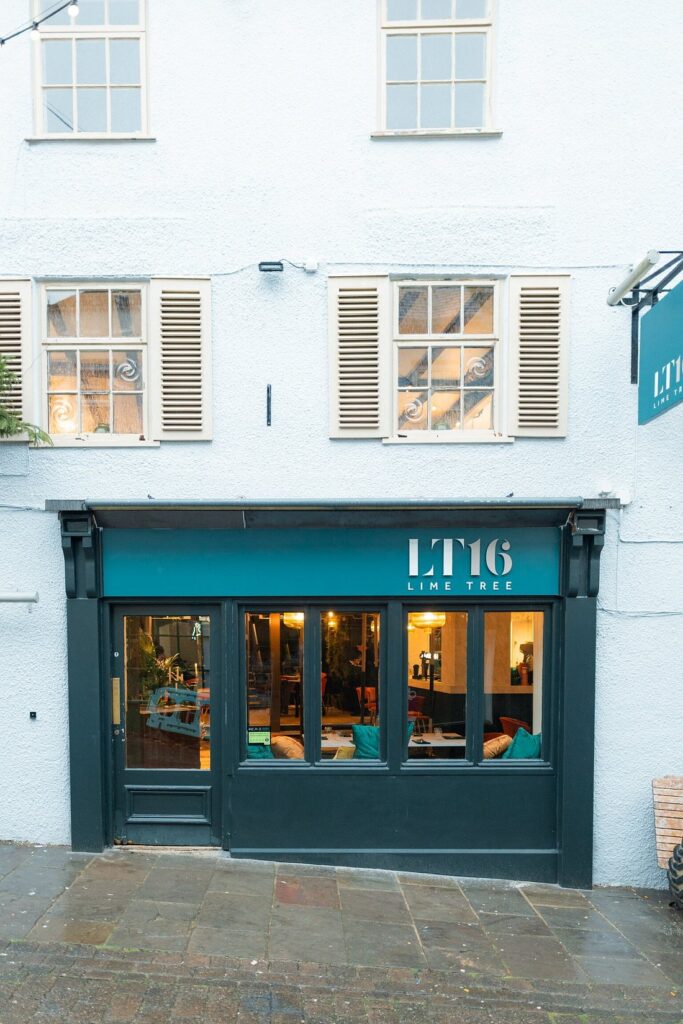 Lime tree (lt16) chepstow