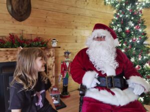 Santa at Willows Garden Centre