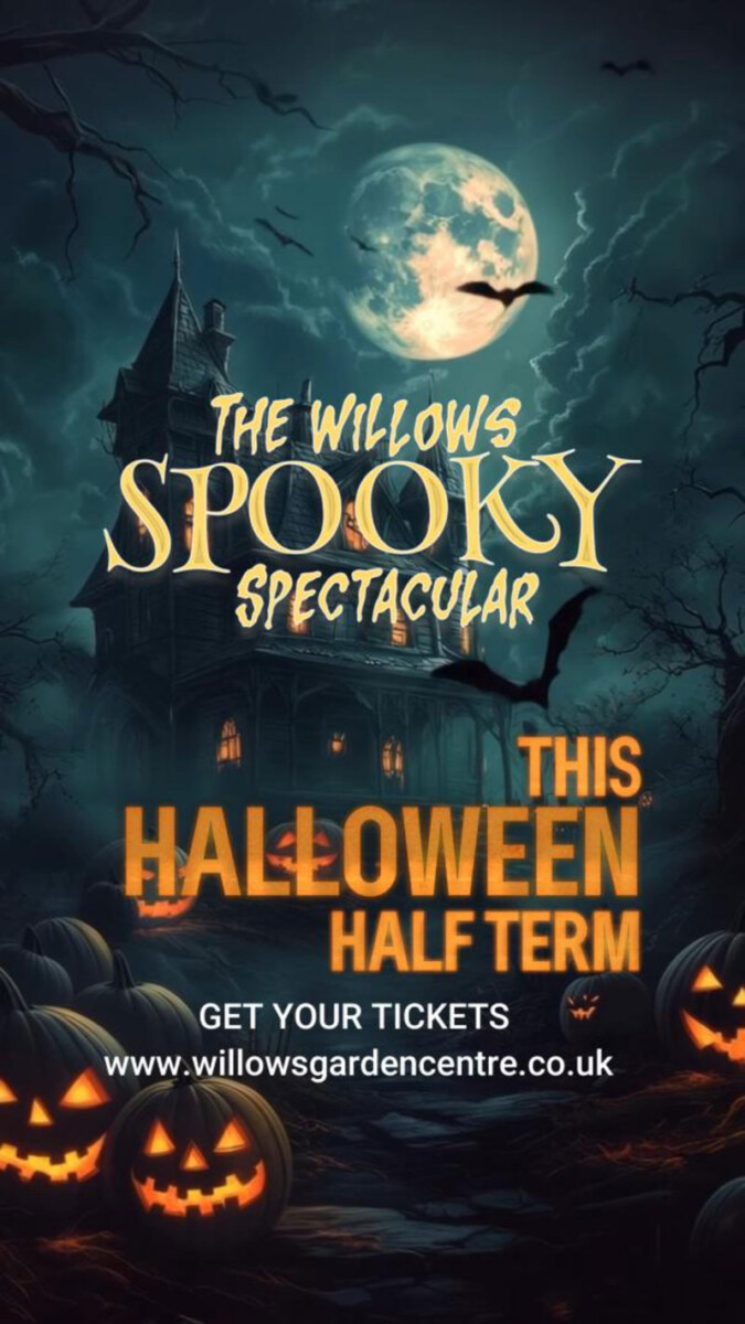 Willows advert for Halloween
